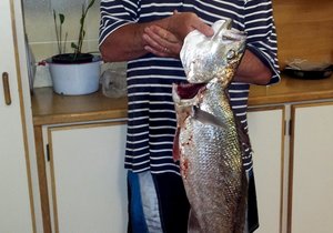 7kg Kabeljou op Huisbesoek gevang